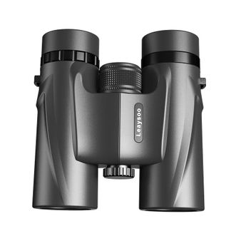 雷龙10X32双筒望远镜黑色高清高倍微光夜视便携防水大目镜户外演唱会