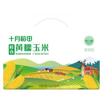 十月稻田  鲜食黄糯玉米 2.2kg(220g*10)