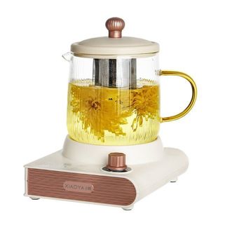 小鸭/Xiaoya  500ml多功能养生杯WXY-YH027H