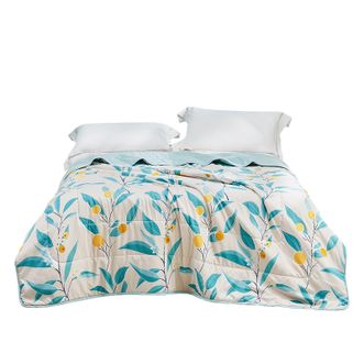 罗莱家纺（LUOLAI）  果色天香夏被150*200cm