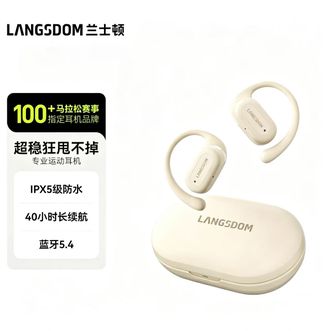 兰士顿  超长续航蓝牙耳机挂耳式IPX5防水、ENC降噪 商务运动跑步骑行全场景 TS19白色