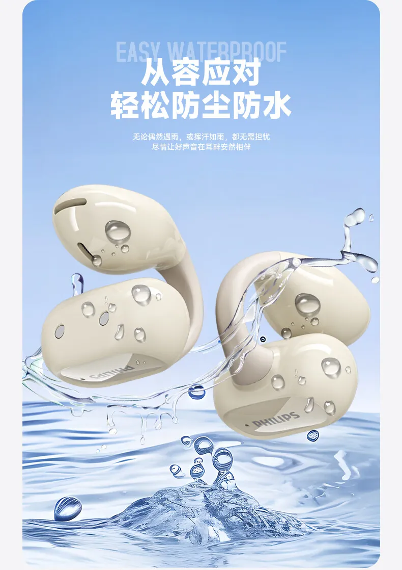 凤凰知音