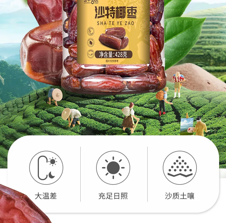 凤凰知音