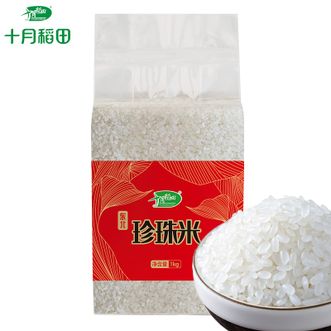 十月稻田  珍珠米1kg 精选东北黑土地珍珠大米 颗粒圆润饱满品莹透亮 香糯可口
