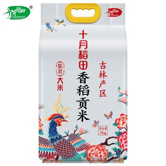 十月稻田  香稻贡米 5kg 东北大米 粳米 当季优选十斤