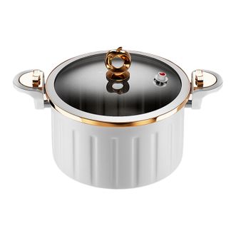荣事达/Royalstar  高压锅微压炖锅RG-WYG22YH压力锅