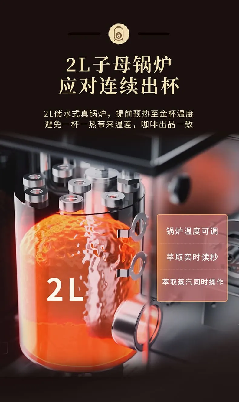 凤凰知音