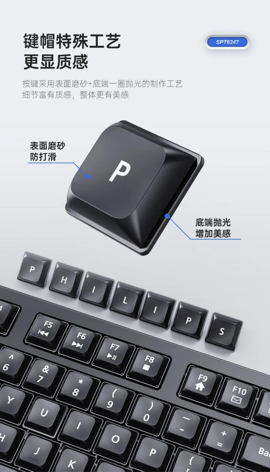 凤凰知音