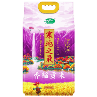 十月稻田  寒地之最香稻贡米5kg东北大米袋装5公斤