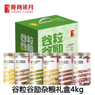 陇间柒月  谷粒谷励杂粮礼盒4kg 黄豆绿豆八宝粥米小米五谷杂粮 杂粮粥杂粮饭打豆浆五谷杂粮食材 礼盒装 佳节送礼