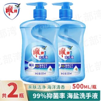 雕牌  按压海盐洗手液500ml*2瓶清洁抑菌海洋护手清香家庭装