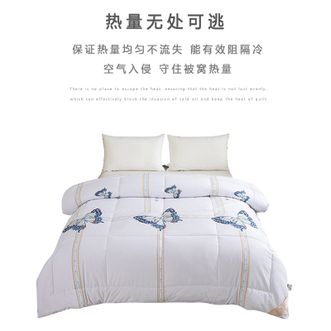 品梵-家纺艾草羽绒被冬被双人床品被子白色200*230CM