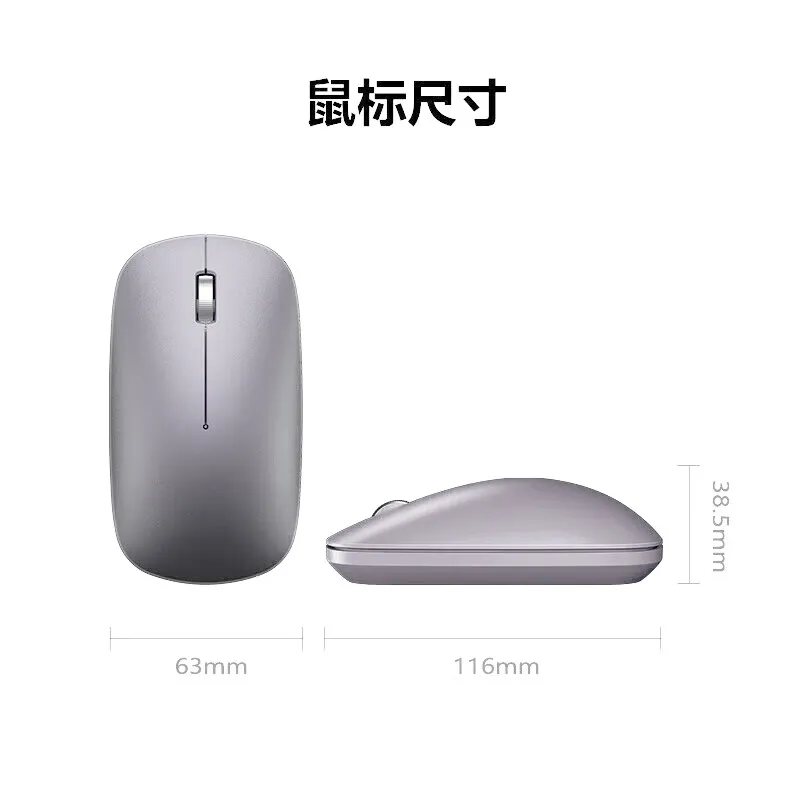 凤凰知音