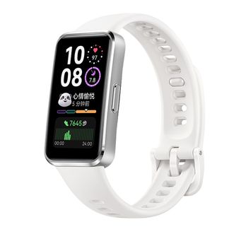 华为/Huawei  手环10 标准版 冰川白