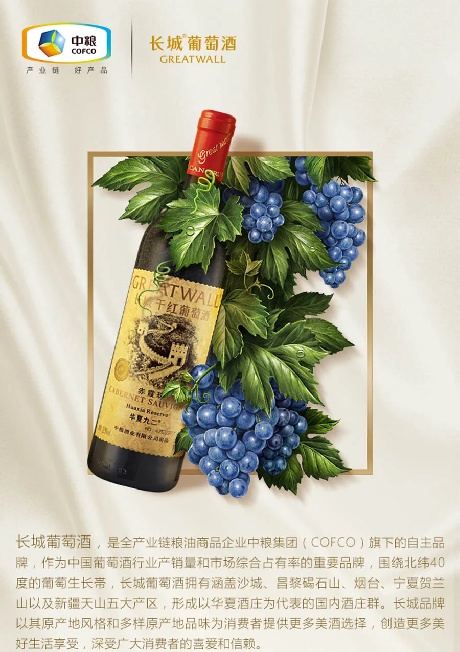 凤凰知音
