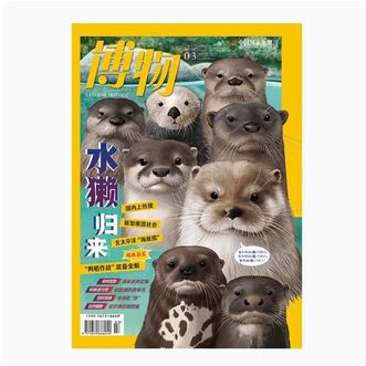 中国国家地理  “两栖作战” 水獭归来 博物杂志2025年03月刊