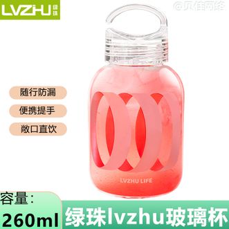 绿珠（lvzhu）   高颜值高硼硅玻璃杯水杯咖啡杯便携提手随手杯子 柳叶粉