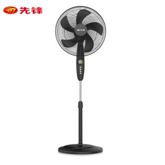 先锋/Singfun  电风扇落地扇大风量可定时可调档FS40-21B