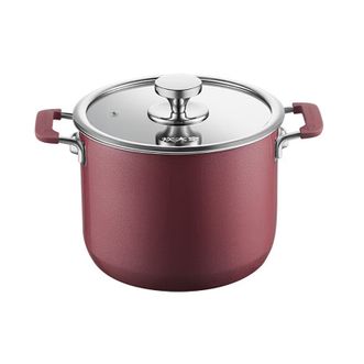 炊大皇（COOKER KING）  珐琅女王高汤锅22cm TG22NW-H