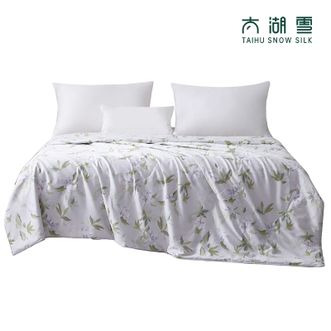 太湖雪  艾棉蚕丝凉被 苏州心意 提花蚕丝凉被 专柜同款 可水洗 夏凉被 贴身睡 栀夏 200*230cm