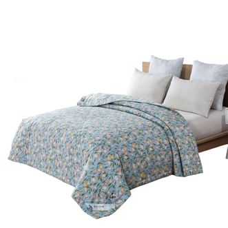 芳恩家纺 臻柔新疆棉花被 200x230cm 四季被 空调被 情侣双人家用床品 被子