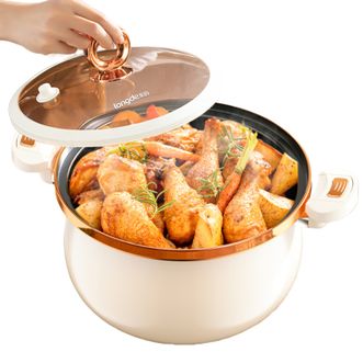 龙的/Longde  微压珐琅锅 微压汤锅家用煮锅炖锅 厨房大容量多用营养锅微压烹饪汤锅