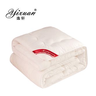 逸轩/yixuan  磨毛压花冬被春秋被宾馆酒店被子被芯-白色-150*200cm（单被子6斤）