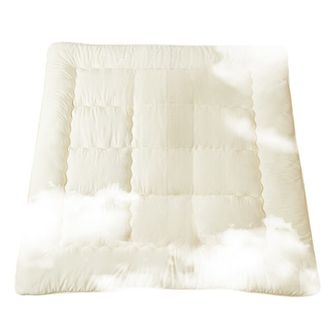 九洲鹿被子加厚保暖蓬松透气双人被冬天被芯被褥200*230cm8斤JZDB30