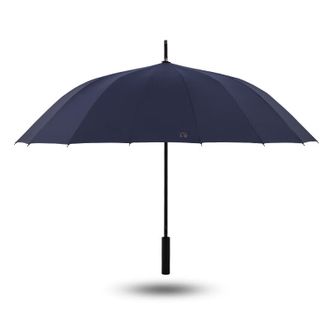 天堂伞  半自动长柄雨伞  11013E风华  黛蓝色  直柄大号雨伞16骨加固抗风拒水