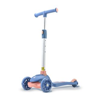 凤凰（Phoenix）  儿童溜溜车可折叠 带音乐 带闪光1009