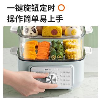 九阳/Joyoung  家用多功能电热锅多档火力可调节配带不锈钢蒸笼ZD20-GE620
