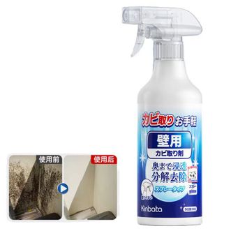 kinbata  新款除霉剂去霉斑菌墙体面除霉喷雾墙面发霉清除神器500g  B-124