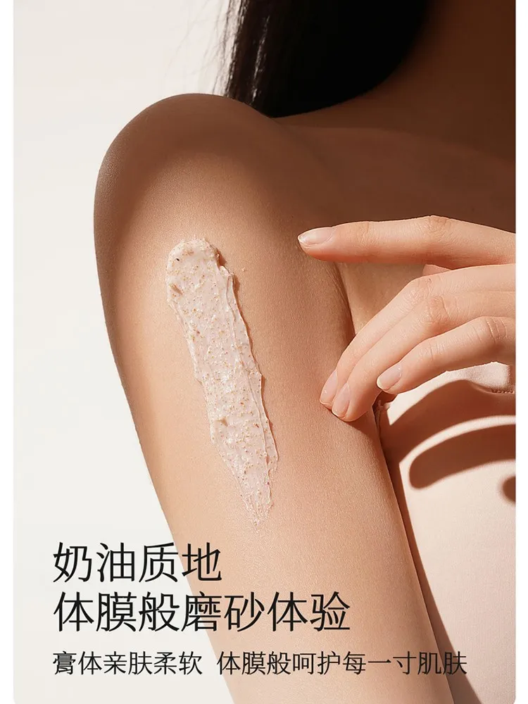 凤凰知音