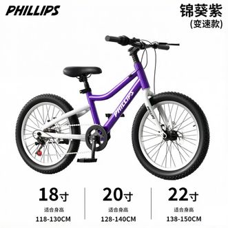 菲利普（PHILLIPS）  儿童自行车3至15岁青少年童车变速18寸山地车
