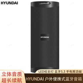 HYUNDAI  户外无线便携式蓝牙音箱迷你小音箱户外音箱LED炫彩灯超长续航 YH-F021黑色