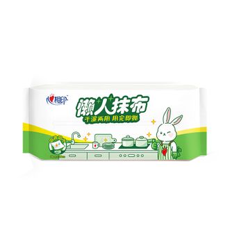 心相印  120抽取式懒人抹布*1提