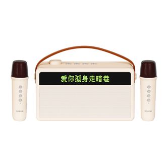 沃品/WOPOW  歌词K歌音箱  AP09