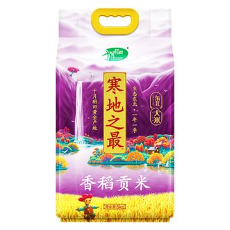 十月稻田  紫色包装 贡米 5kg