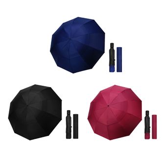 红叶HongYe  雨伞大号双人折叠抗风暴双层防晒太阳伞晴雨两用伞1131511