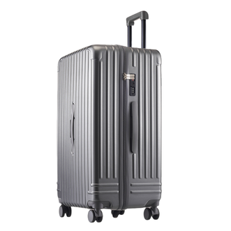 大嘴猴（Paul Frank）  旅行箱拉杆箱 潮流箱子  24大小 灰色