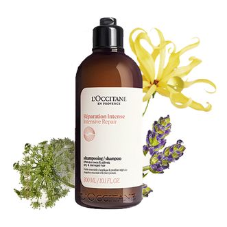欧舒丹（L'OCCITANE）  洗发露修护受损发质  300ml/500ml