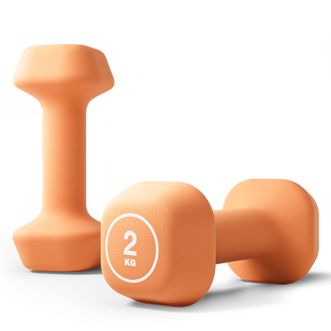 飞尔顿  彩色磨砂浸塑哑铃男士女士家用家庭健身肌肉塑形手臂2kg*2