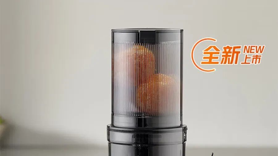 凤凰知音