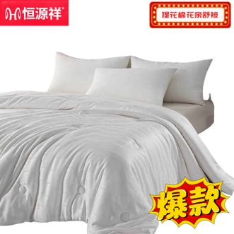 恒源祥  被芯提花棉花亲舒被柔软亲肤秋冬助眠冬被