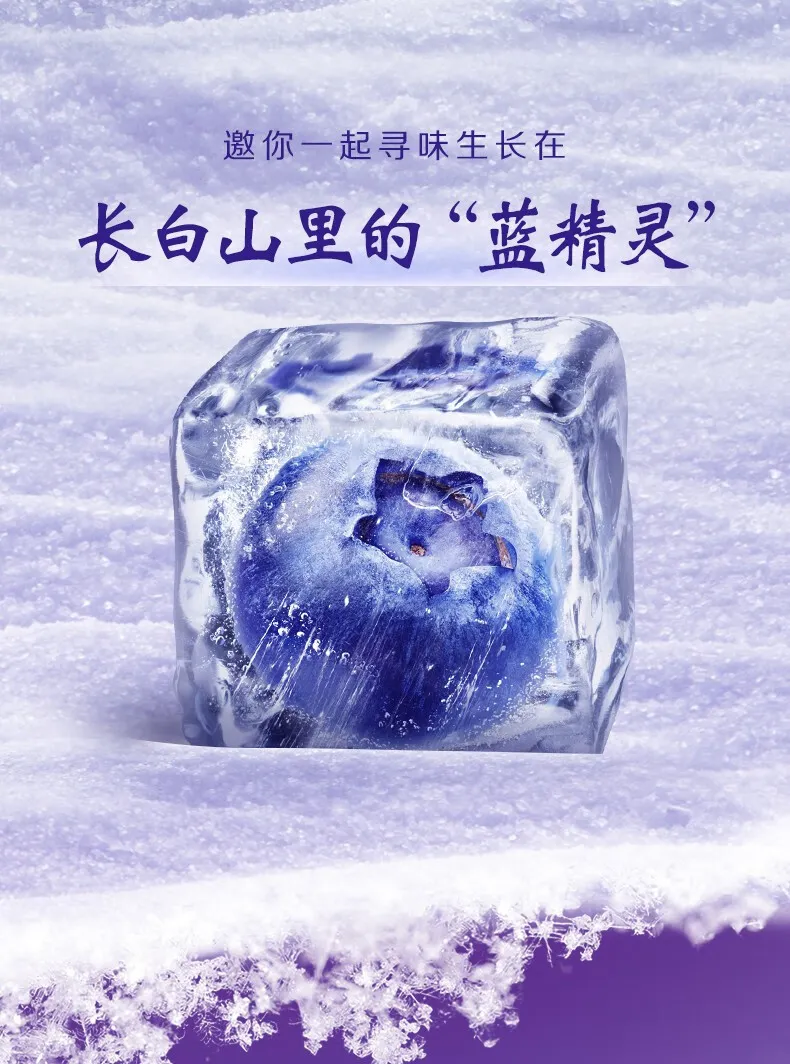 凤凰知音