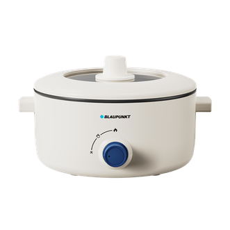 BLAUPUNKT  蓝宝电煮锅 电火锅家用大容量2-4人使用多功能锅 BP-DZG20-3.5L容量