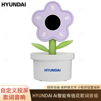 HYUNDAI  聚财好礼Ai智能有钱花歌词音箱词照片投屏音响