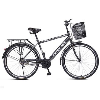 凤凰（Phoenix）  26寸城市自行车-马斯特（辐条轮）