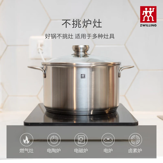 双立人（ZWILLING）  Twin Nova III 20cm深汤锅 1034725