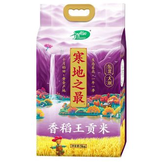 十月稻田  东北 寒地之最-香稻-贡米5kg